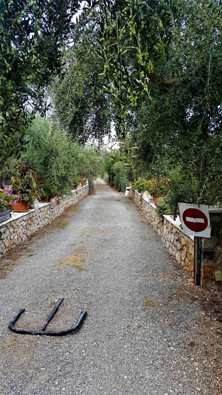 Manto Studios Tirós Dış mekan fotoğraf