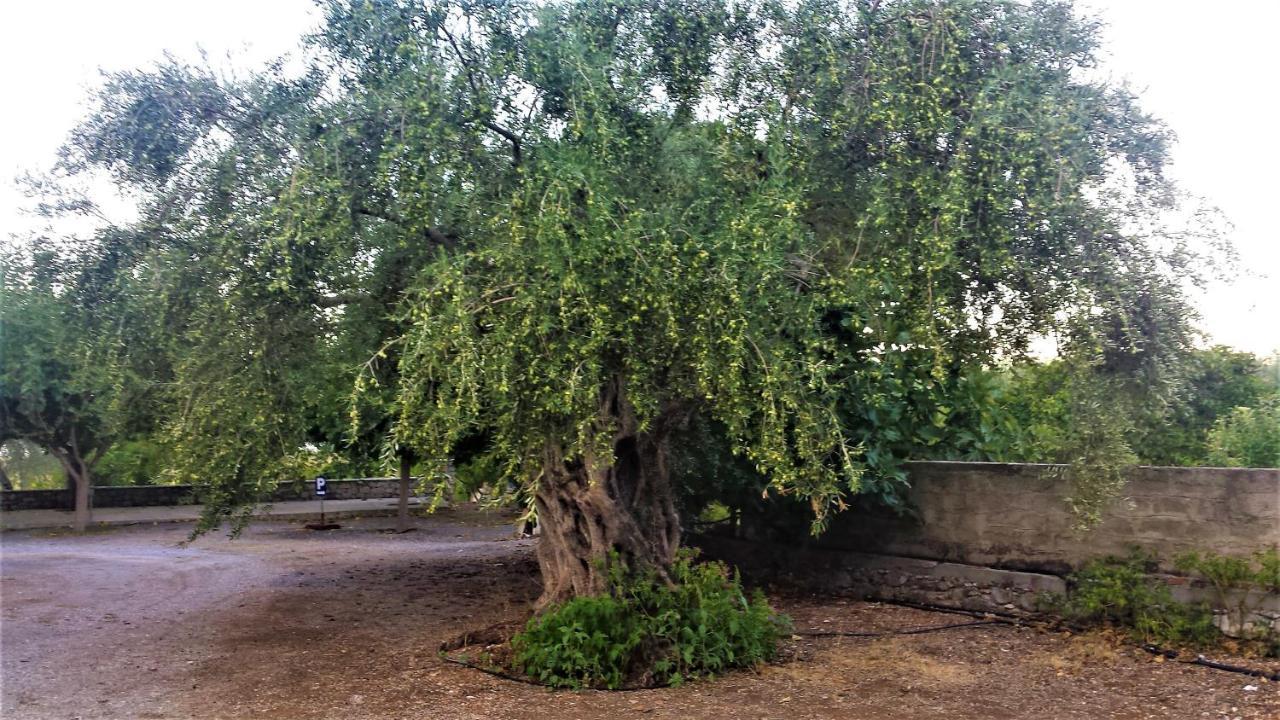 Manto Studios Tirós Dış mekan fotoğraf