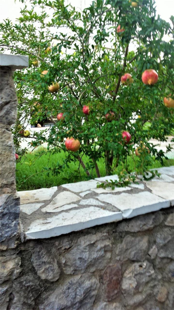 Manto Studios Tirós Dış mekan fotoğraf